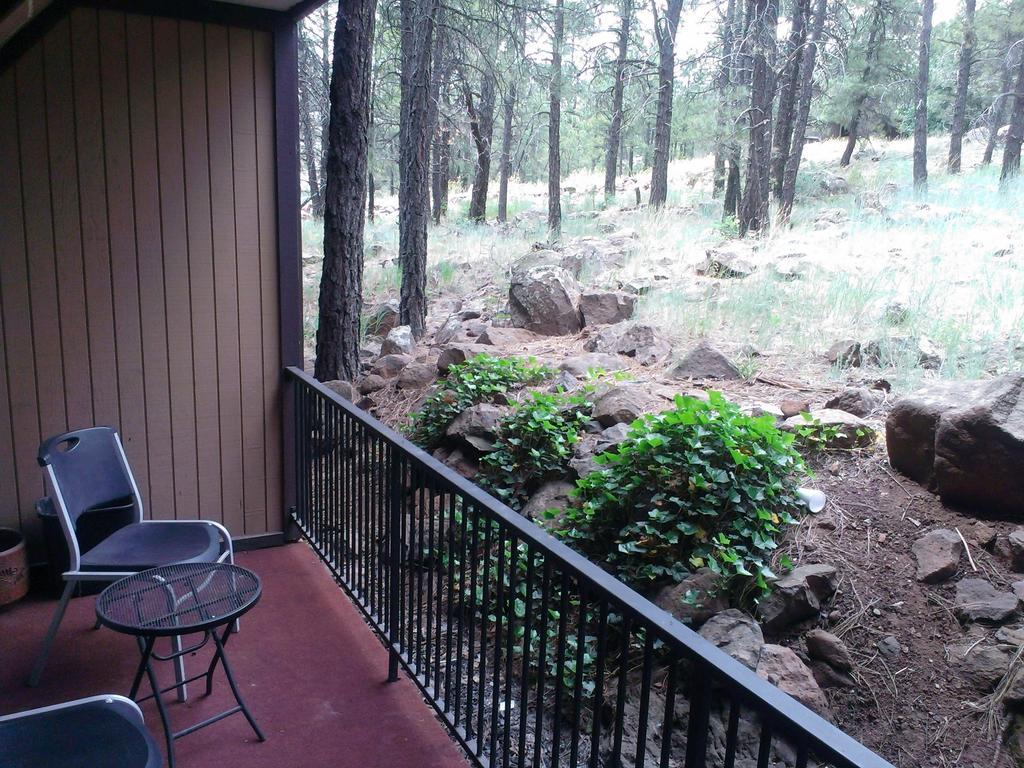 Motel In The Pines Munds Park Luaran gambar